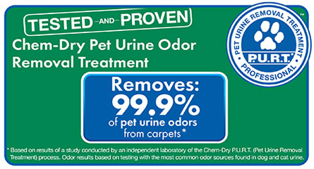 Pet stains removed by A-abc Chem-Dry in Dallas, Texa